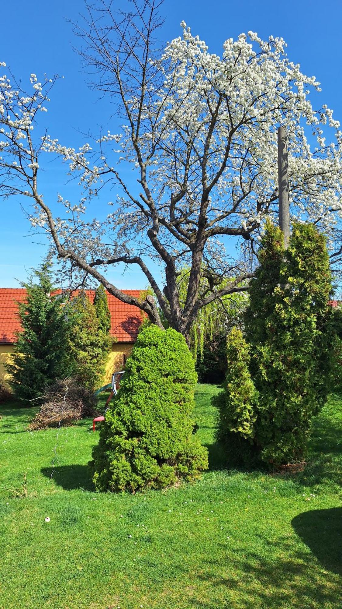 Prague Zbraslav Old Garden公寓 外观 照片